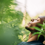 How CBD Helps Promote Relaxation and Calm