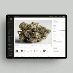 Expansion of CBD Market Growth & Valuation 3