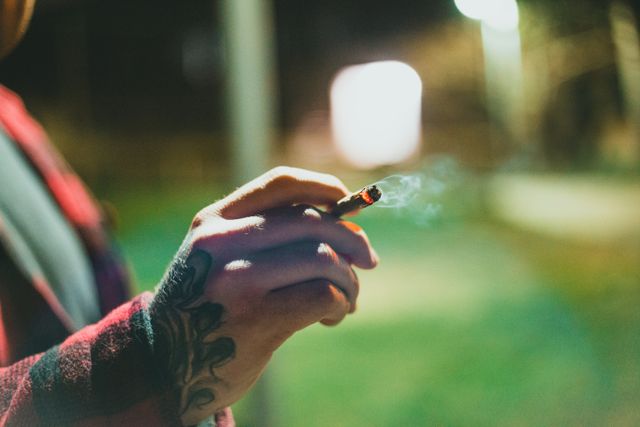 7 Cannabis Picks for a Perfect Newbury Street Day